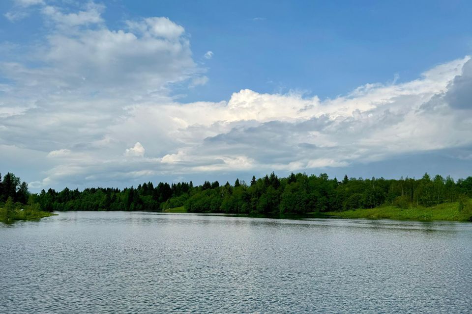 земля городской округ Рузский д Новорождествено Центральная улица, 1 фото 5