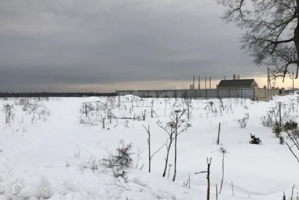 земля городской округ Раменский ИЖС Дергаево, Николая Фетисова улица фото 5