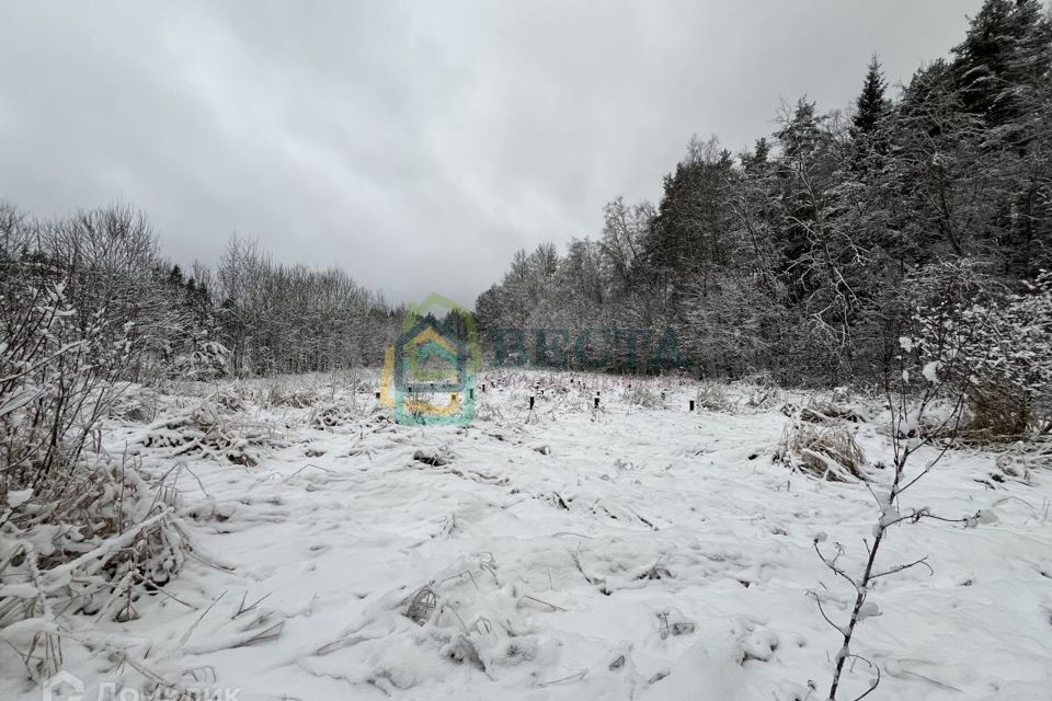 земля р-н Приозерский ДНП Раздолье фото 6