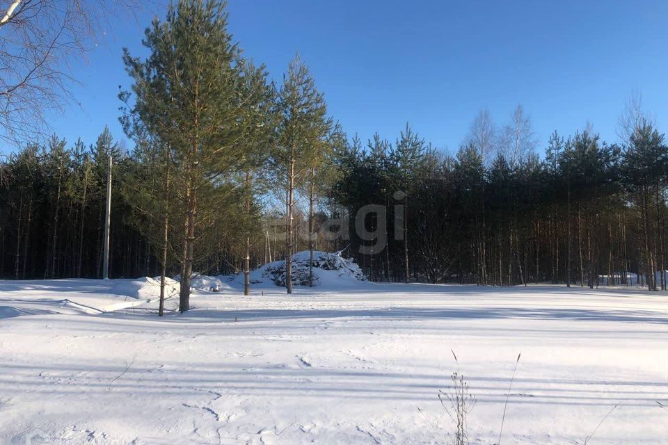 земля городской округ Раменский ИЖС Дергаево, Николая Фетисова улица фото 9