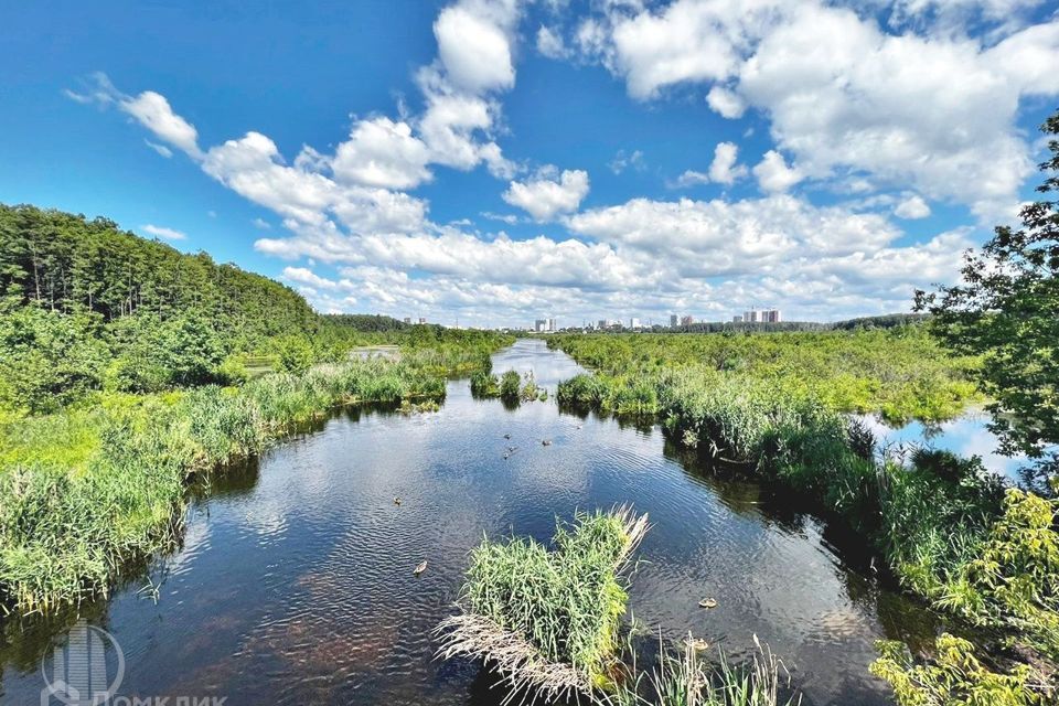 земля г Мытищи СНТ Водоканал, Мытищи городской округ фото 10