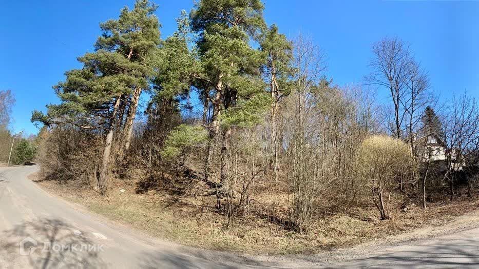 земля р-н Всеволожский городской пос. Токсово фото 9