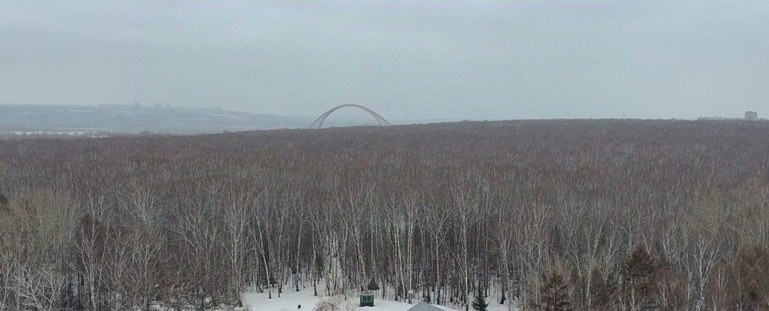 квартира г Новосибирск р-н Кировский ул Пригородная 9 ЖК по ул. Пригородная Площадь Маркса фото 5