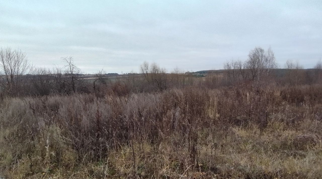 дом р-н Арзамасский с Медынцево ул Нагорная Арзамас городской округ фото 2