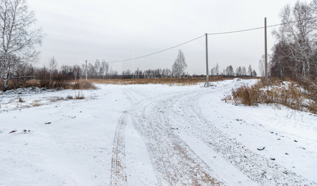 земля р-н Нижнетавдинский фото 15