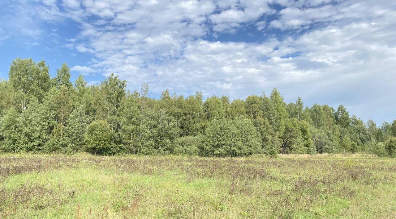 земля городской округ Можайский Можайские просторы кп, 74 фото 3