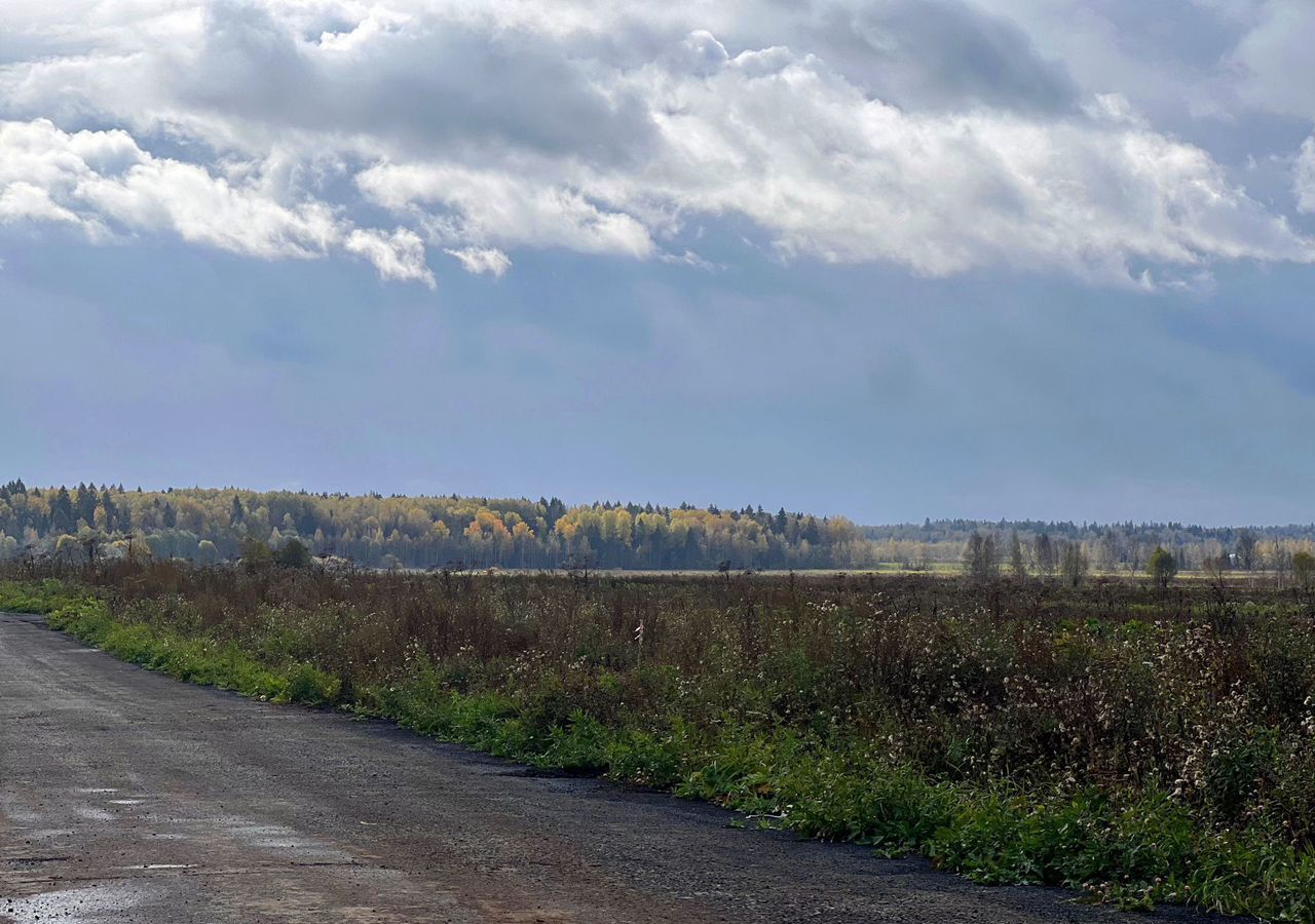 земля городской округ Истра п Глебовский 53 км, СНТ Каринтия, г. о. Истра, Волоколамское шоссе фото 1