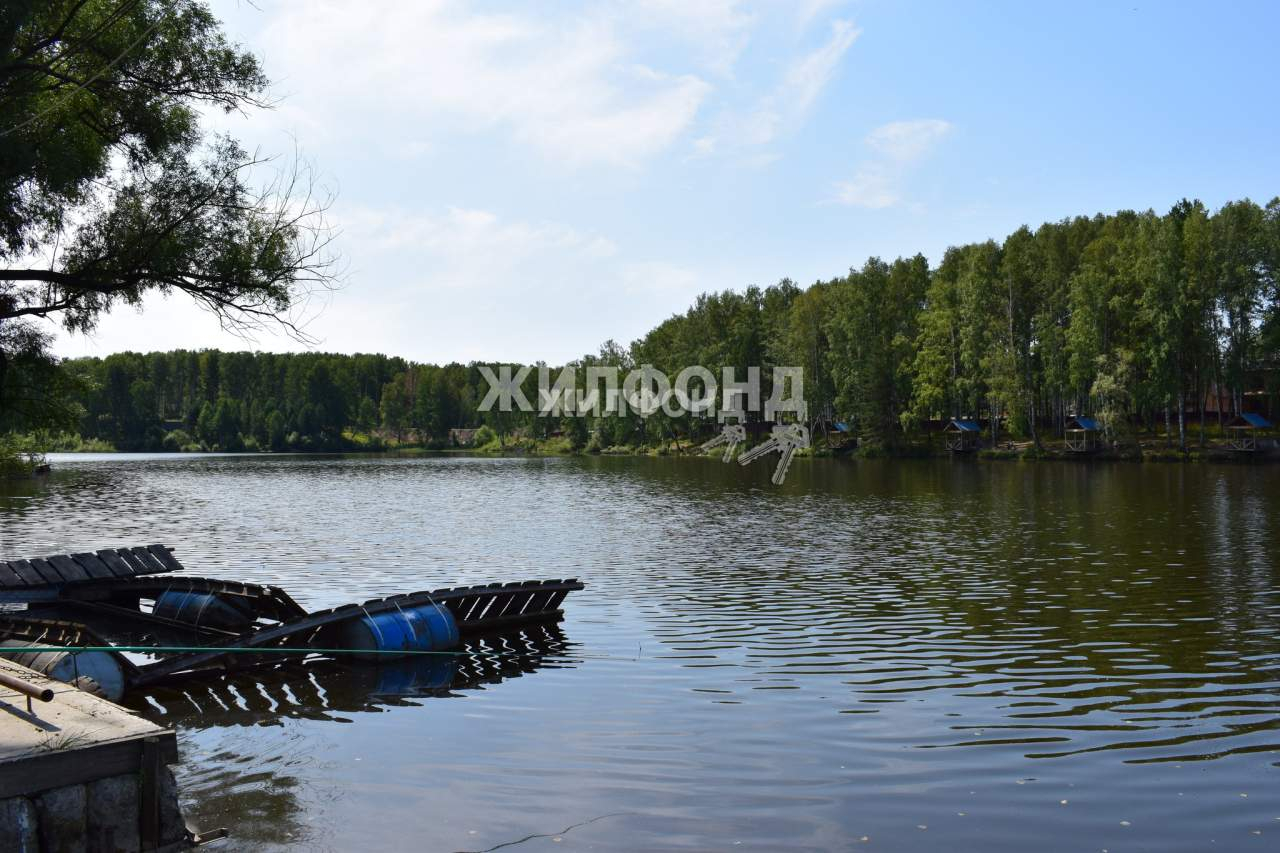 земля р-н Новосибирский п Каинская Заимка ул Боровая Барышевский сельсовет фото 4