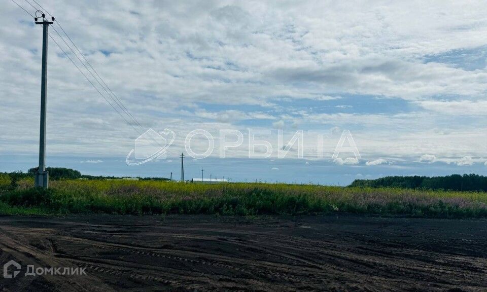 земля р-н Тюменский с Горьковка Совхозная фото 1