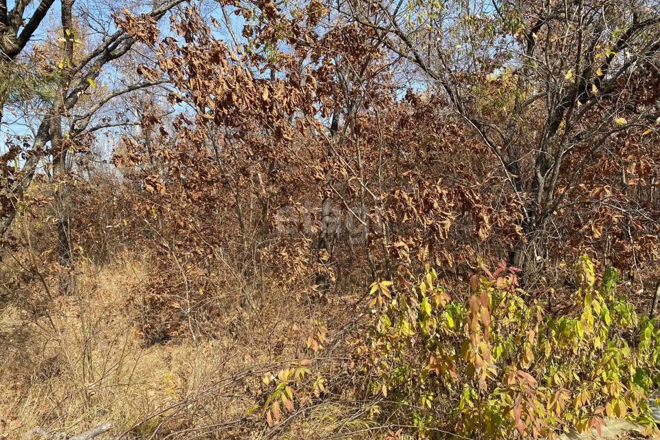 земля р-н Смидовичский СНТ Буревестник фото 4