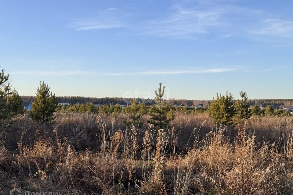 земля Полевской городской округ, Курганово фото 4