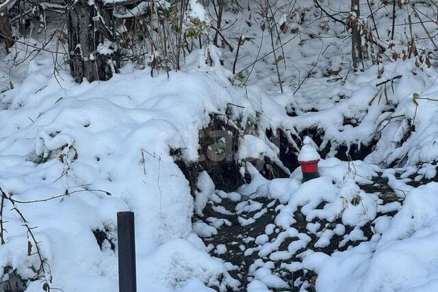 земля Горно-Алтайск городской округ, Медицинский городок Эмчилик Кала фото