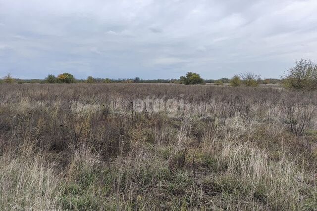 Майкоп городской округ, Северный фото