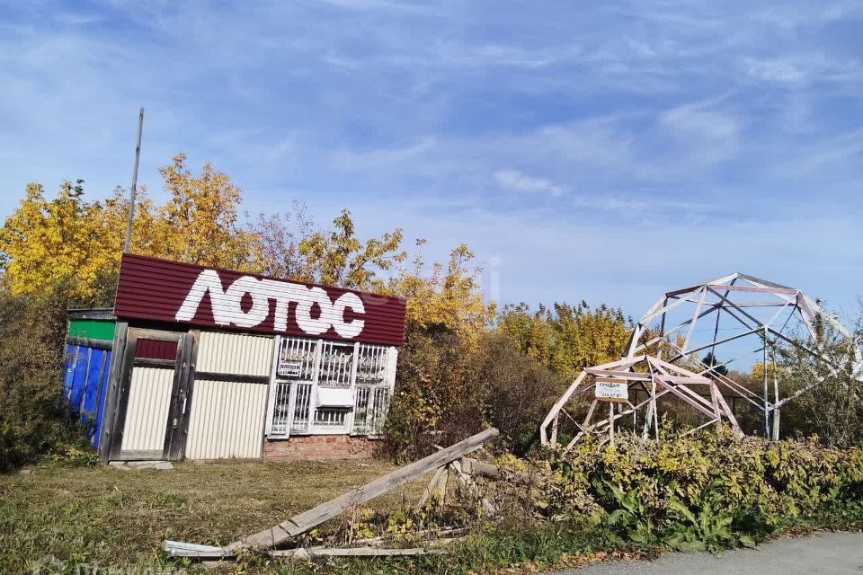 земля г Бердск снт Вега-4 городской округ Бердск, 8-я улица фото 4