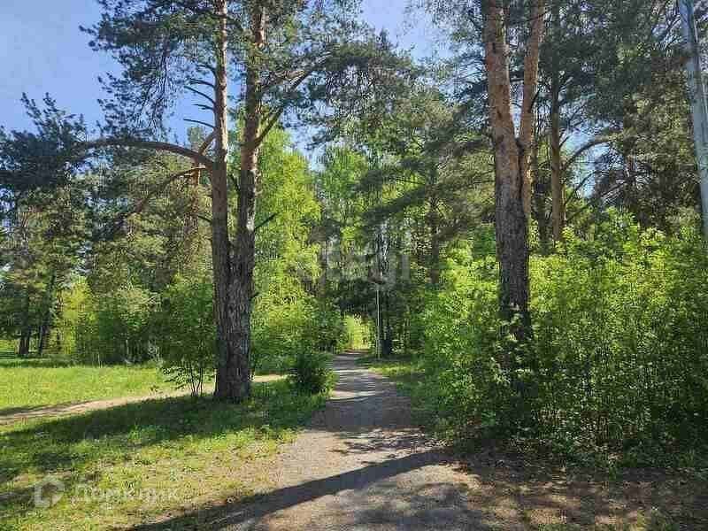 земля Добрянский городской округ, Залесная фото 3