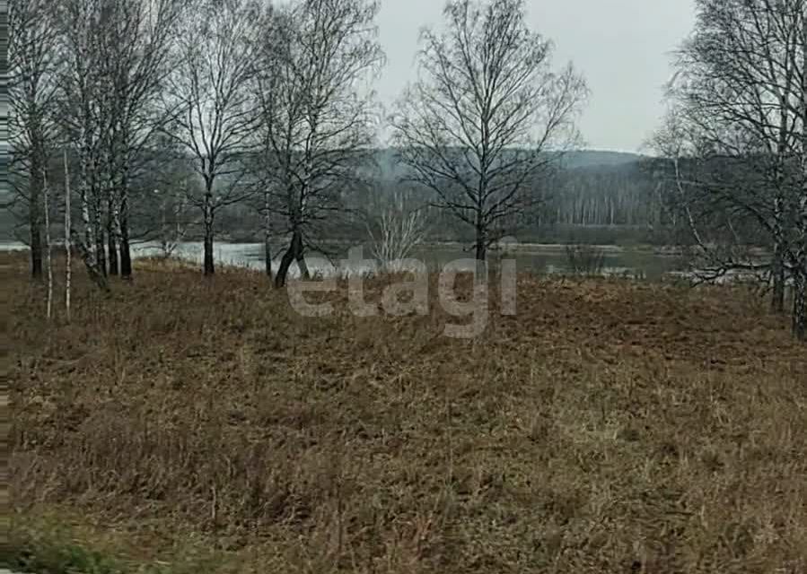 земля р-н Кемеровский Кемеровская область — Кузбасс, Известковый фото 4