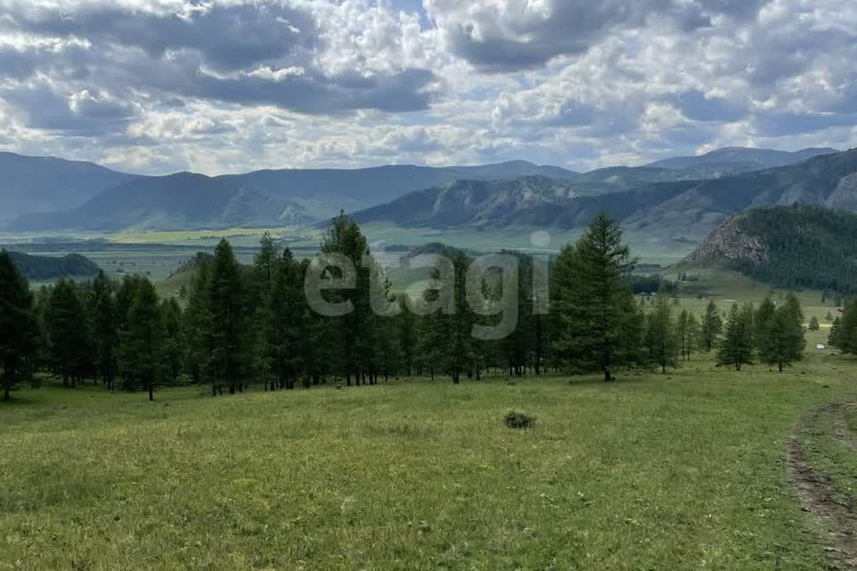 земля р-н Онгудайский Ело фото 2