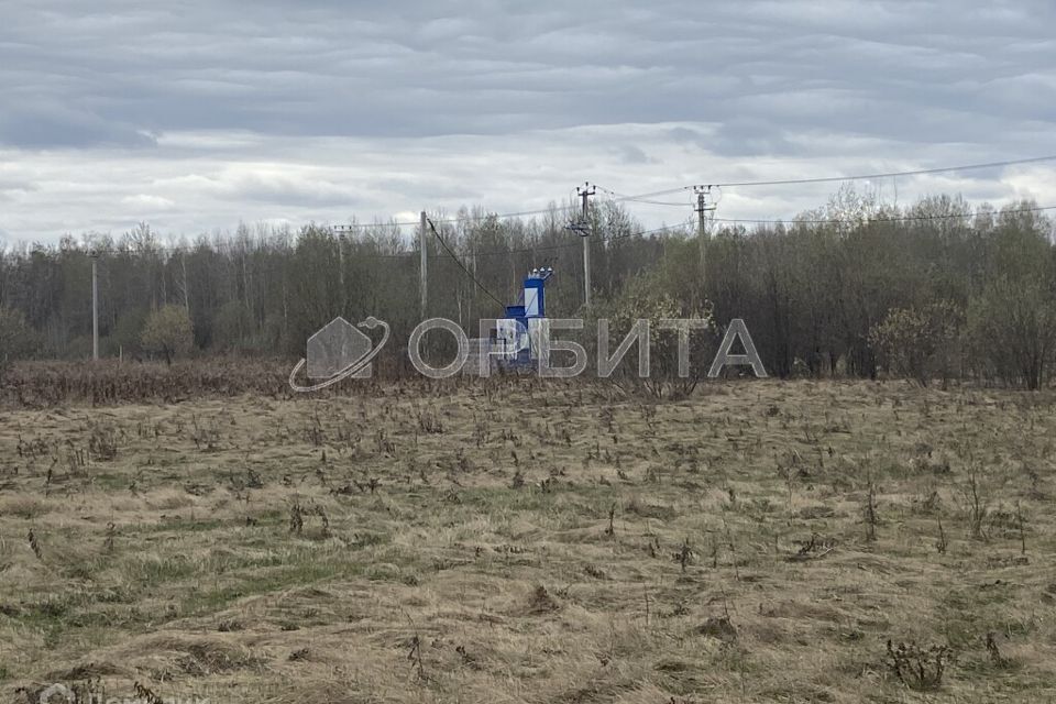 земля р-н Тюменский с Горьковка Совхозная фото 2