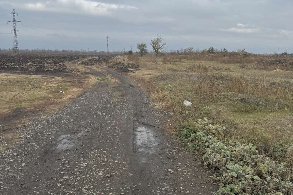 земля р-н Безенчукский с Васильевка ул Полевая фото 3