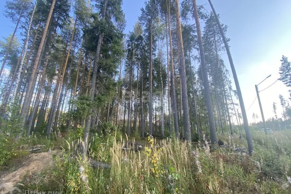 земля г Сыктывкар пгт Краснозатонский Сыктывкар городской округ, ЖМ Сосновая поляна фото 8