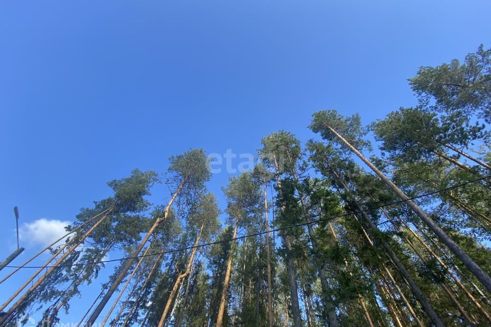 земля г Сыктывкар пгт Краснозатонский Сыктывкар городской округ, ЖМ Сосновая поляна фото 9