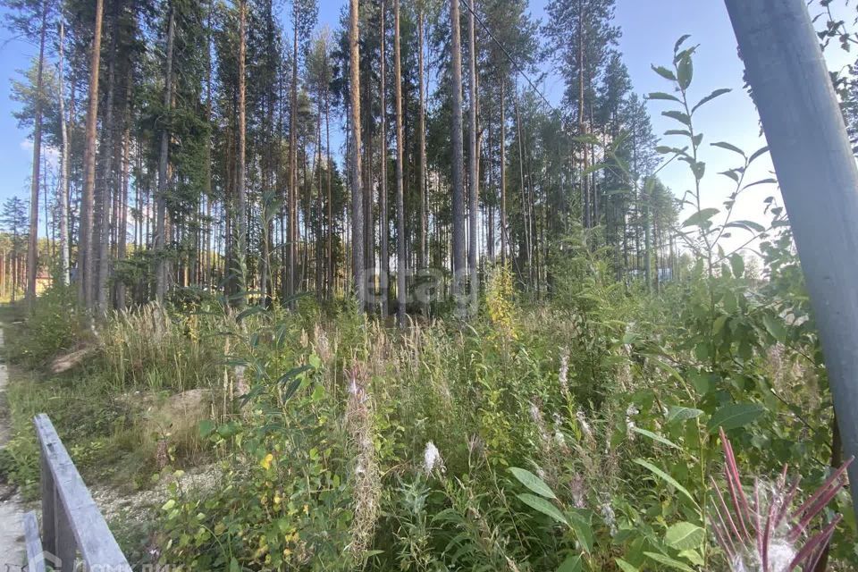 земля г Сыктывкар пгт Краснозатонский Сыктывкар городской округ, ЖМ Сосновая поляна фото 6