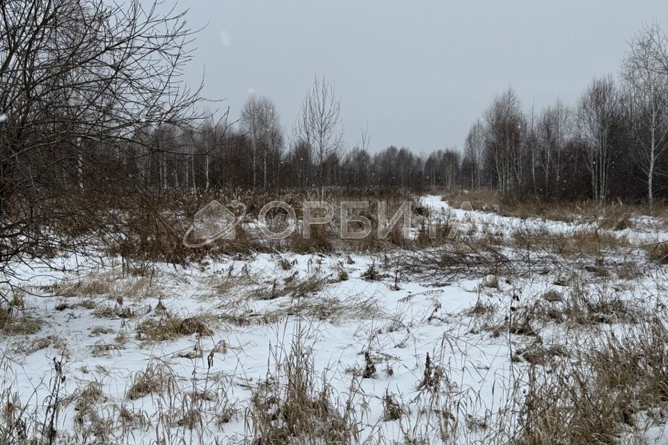 земля р-н Нижнетавдинский Тюнево фото 1