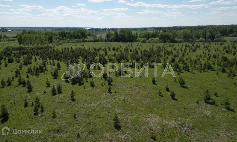 земля р-н Тюменский с Горьковка Совхозная фото 1