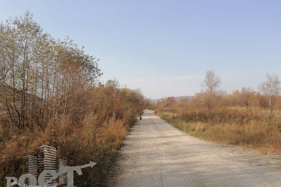 земля г Артем Артёмовский городской округ, СНТ Ольха фото 3