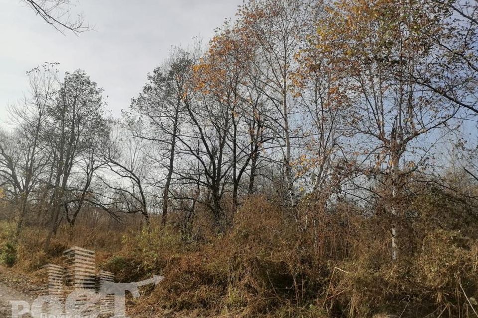 земля г Артем Артёмовский городской округ, СНТ Ольха фото 4