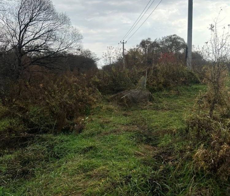 земля г Артем с Кневичи ул Третья Артёмовский городской округ фото 4