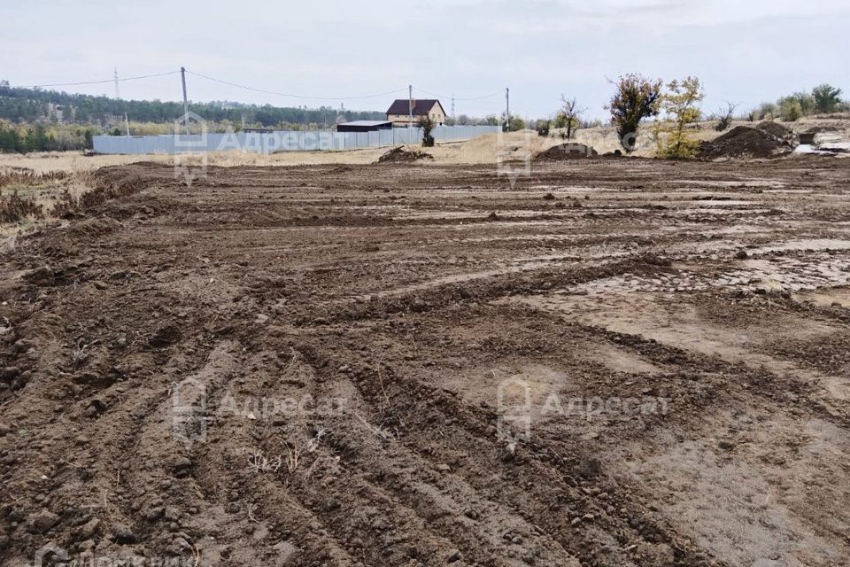 земля р-н Городищенский с Виновка снт тер.Машстрой 1-я улица, 6 фото 1