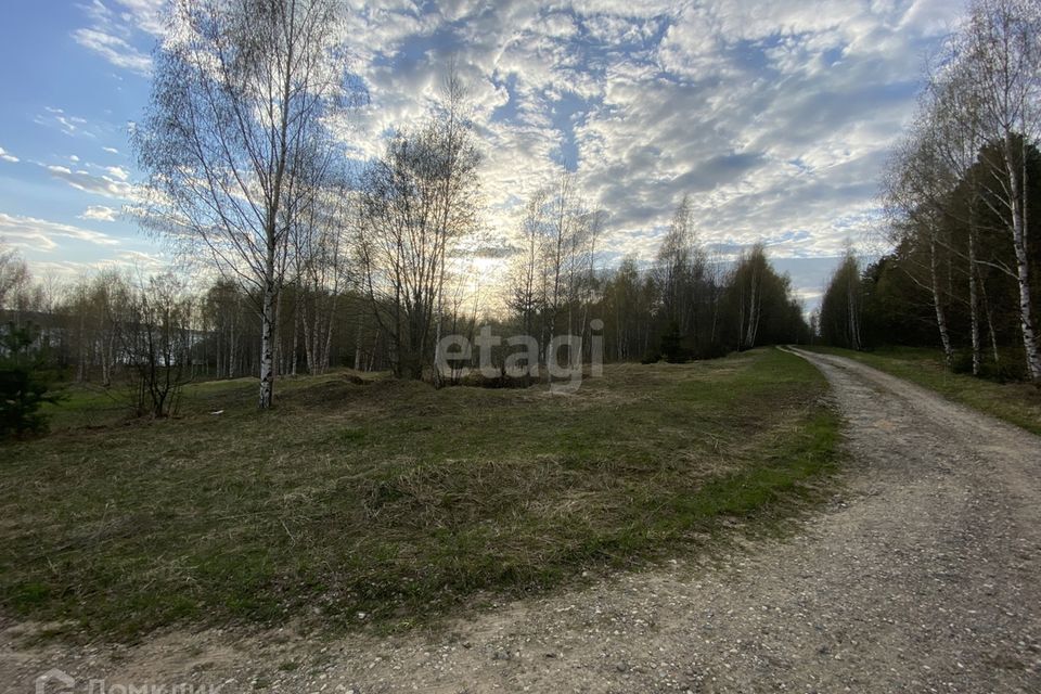 земля р-н Красносельский д. Абрамово фото 3