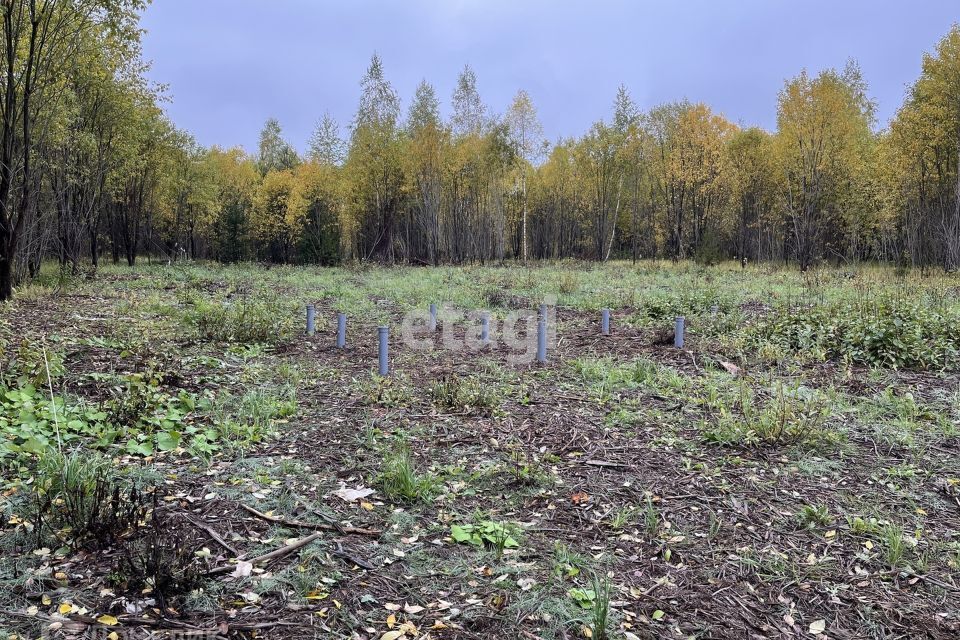 земля р-н Красносельский д. Абрамово фото 2