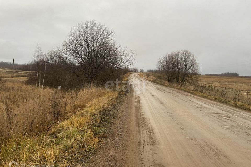 земля р-н Красносельский д. Абрамово фото 3