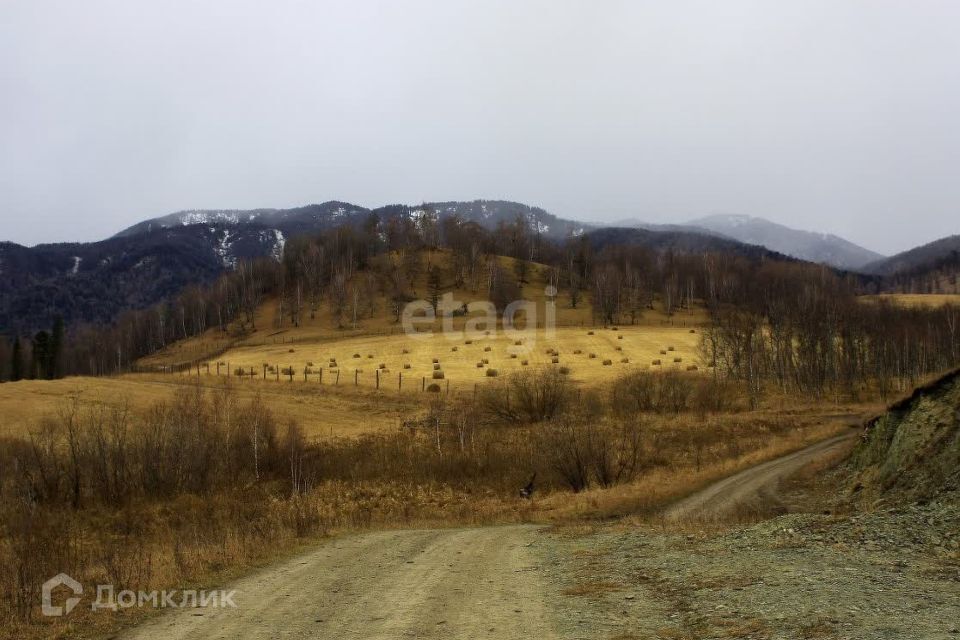 земля р-н Чемальский Верх-Анос фото 7