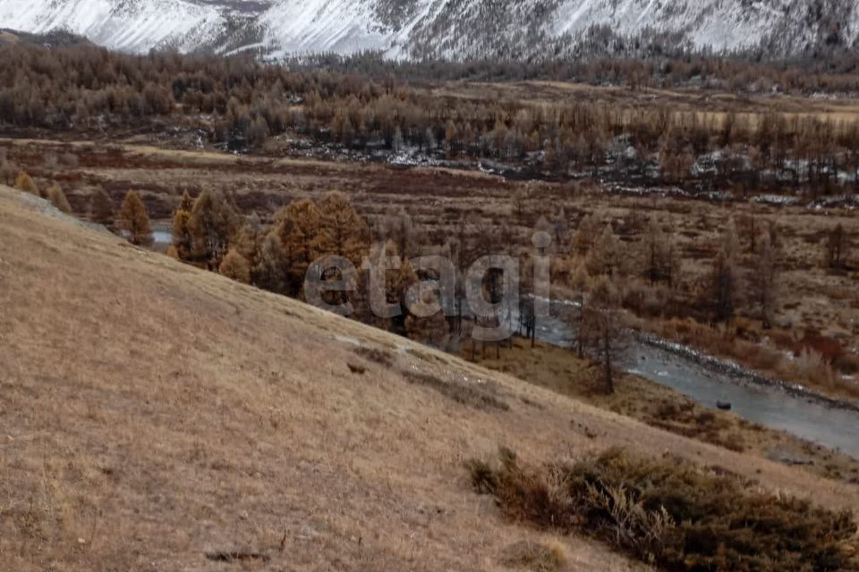 земля р-н Кош-Агачский Беляши фото 5