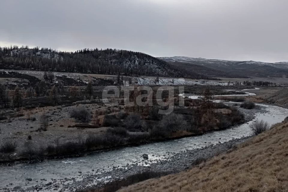 земля р-н Кош-Агачский Беляши фото 10