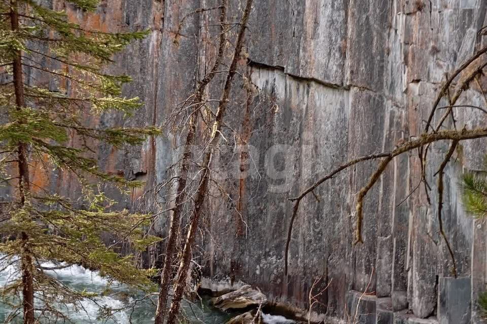 земля р-н Кош-Агачский Беляши фото 5