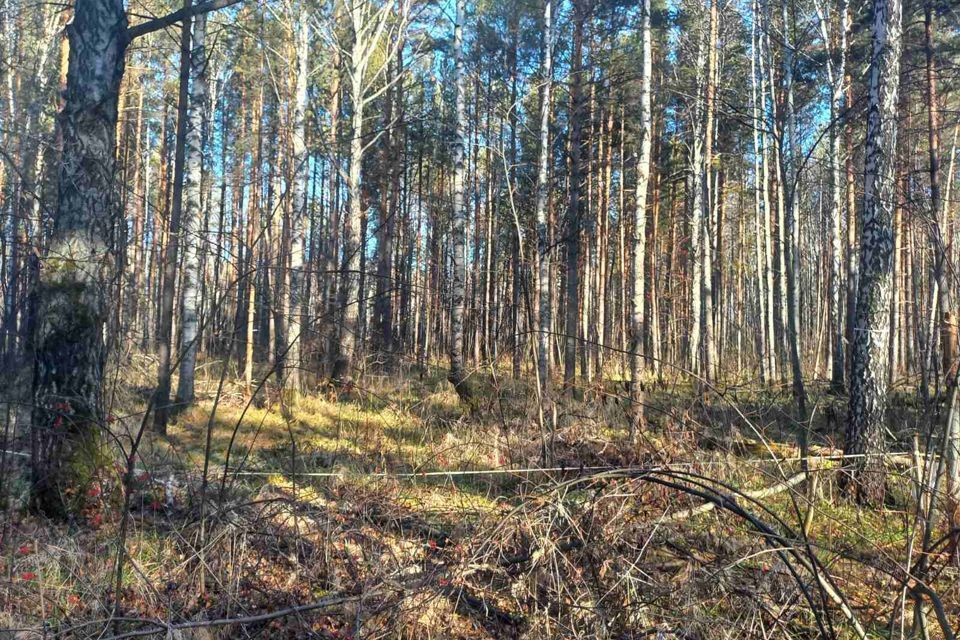 земля г Тобольск микрорайон Усадьба, Тобольск городской округ фото 6