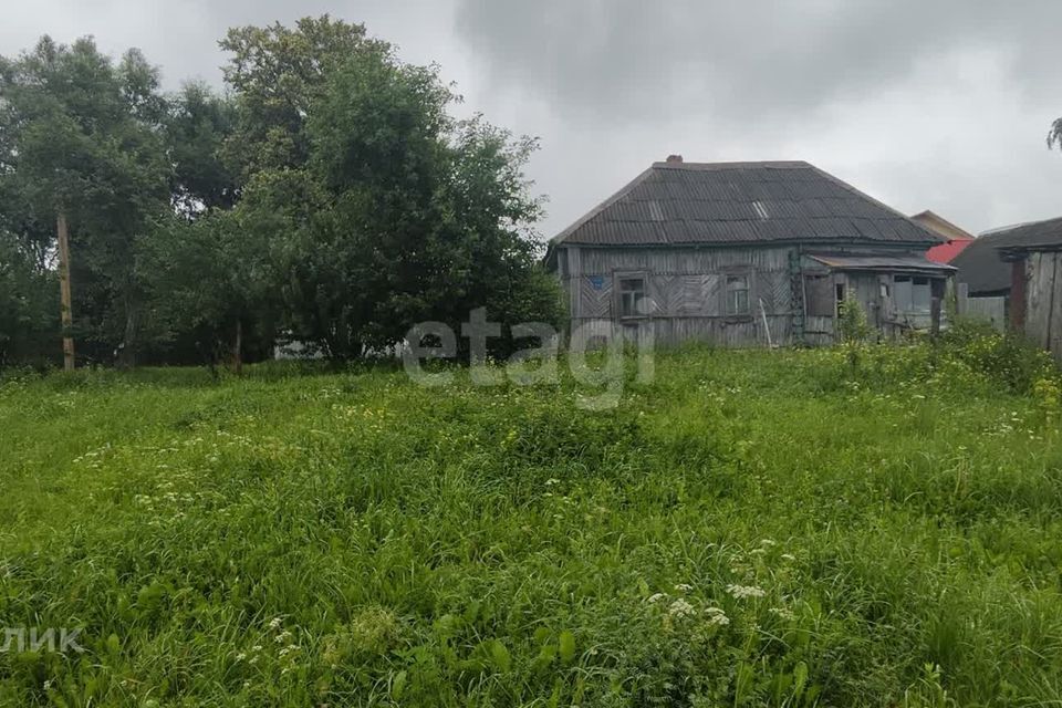 земля р-н Брянский д Меркульево ул Гагарина фото 6