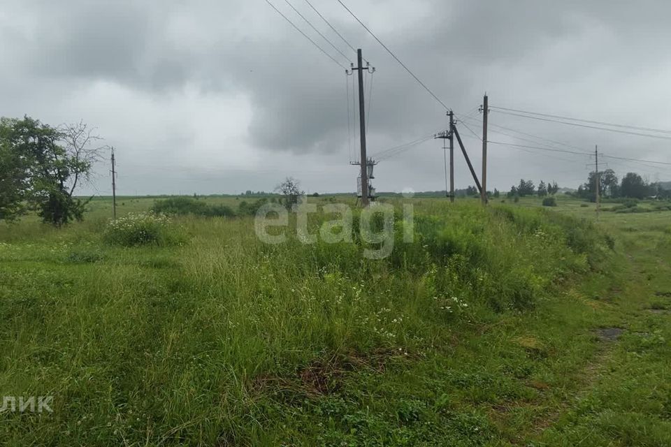 земля р-н Брянский д Меркульево ул Гагарина фото 8