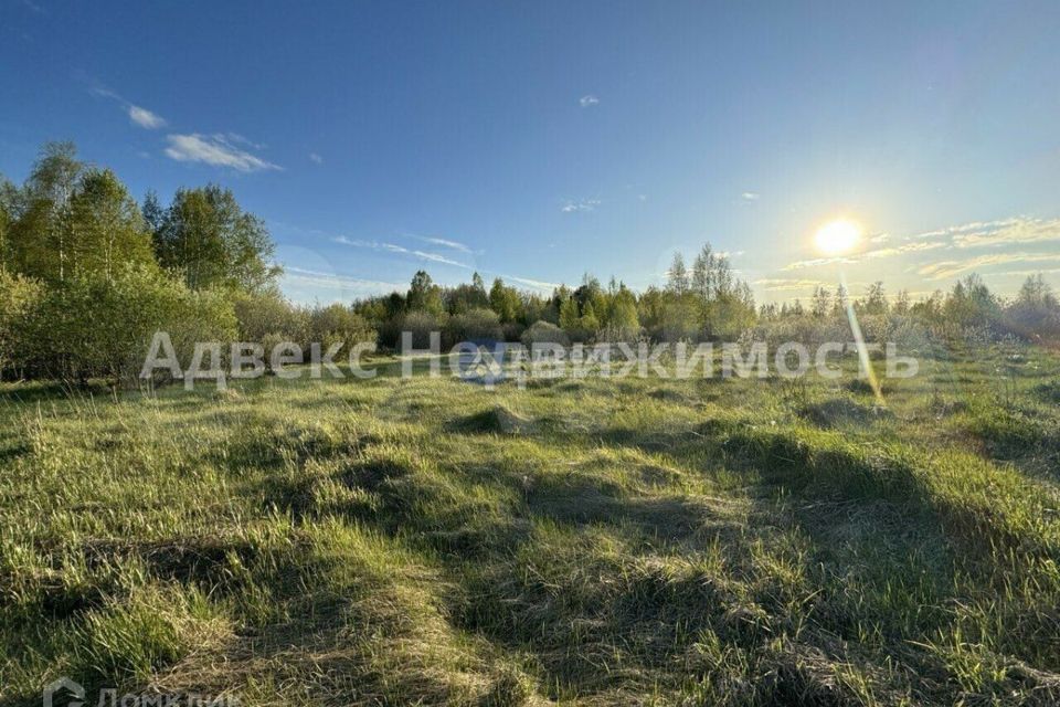 земля р-н Тюменский Каменка фото 8