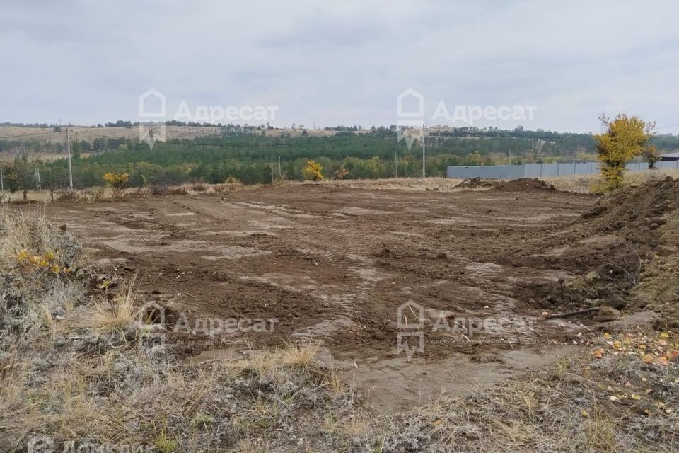 земля р-н Городищенский с Виновка снт тер.Машстрой 1-я улица, 6 фото 5