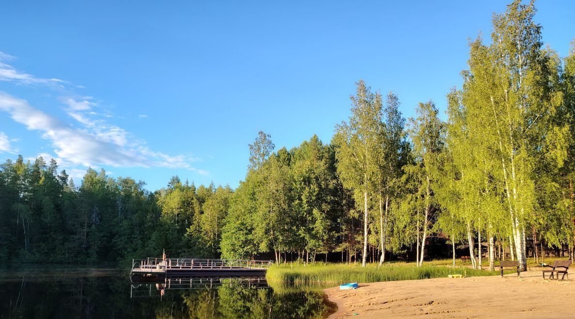 земля р-н Выборгский п Красносельское Ягодное кп фото 19