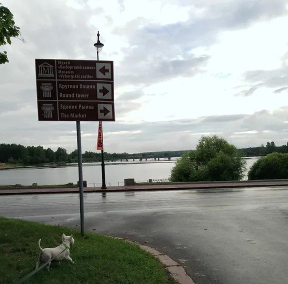 квартира г Выборг р-н Центральный ул Водной Заставы 6 Выборгское городское поселение фото 12