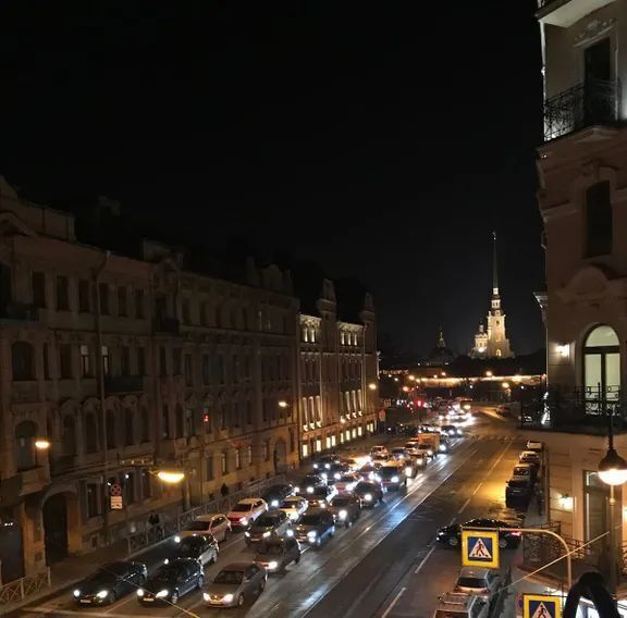 комната г Санкт-Петербург метро Горьковская пер Зоологический 1/3 округ Введенский, Петроградка фото 4