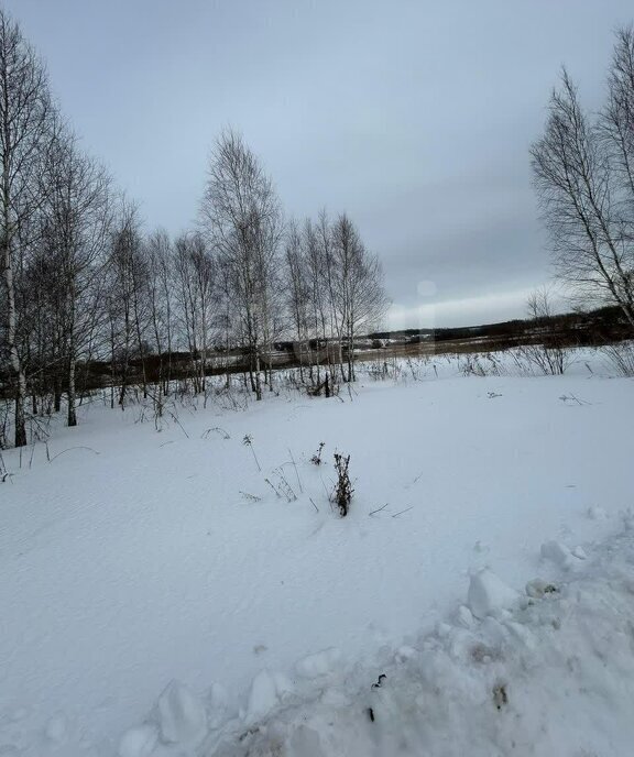 земля р-н Алексинский с Карташево муниципальное образование, Алексин фото 2