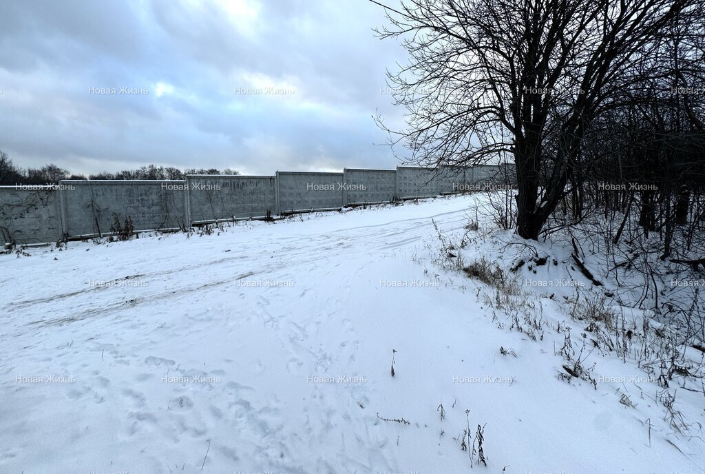 земля городской округ Ленинский д Мамоново ул Дорожная Домодедовская фото 9