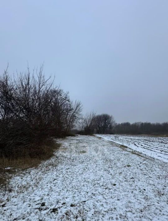 земля р-н Курский д Муравлево Щетинский сельсовет фото 4